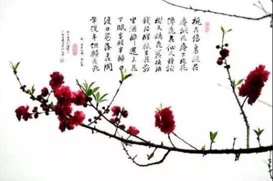 微信图片_20190326100954.jpg